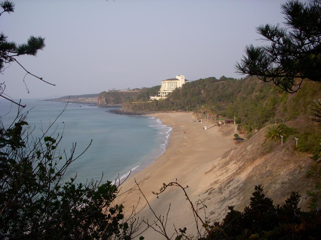 Sunny Day Jeju Villa Seogwipo-stad Buitenkant foto