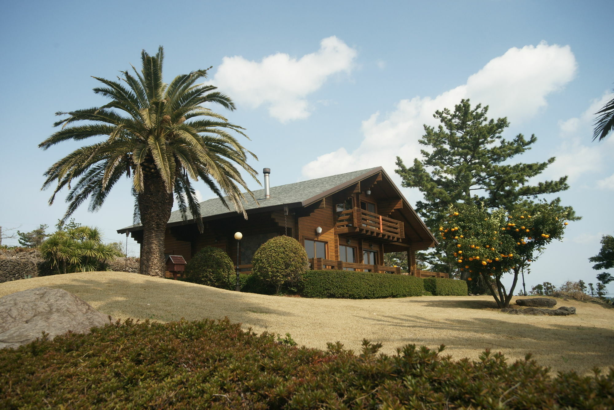Sunny Day Jeju Villa Seogwipo-stad Buitenkant foto