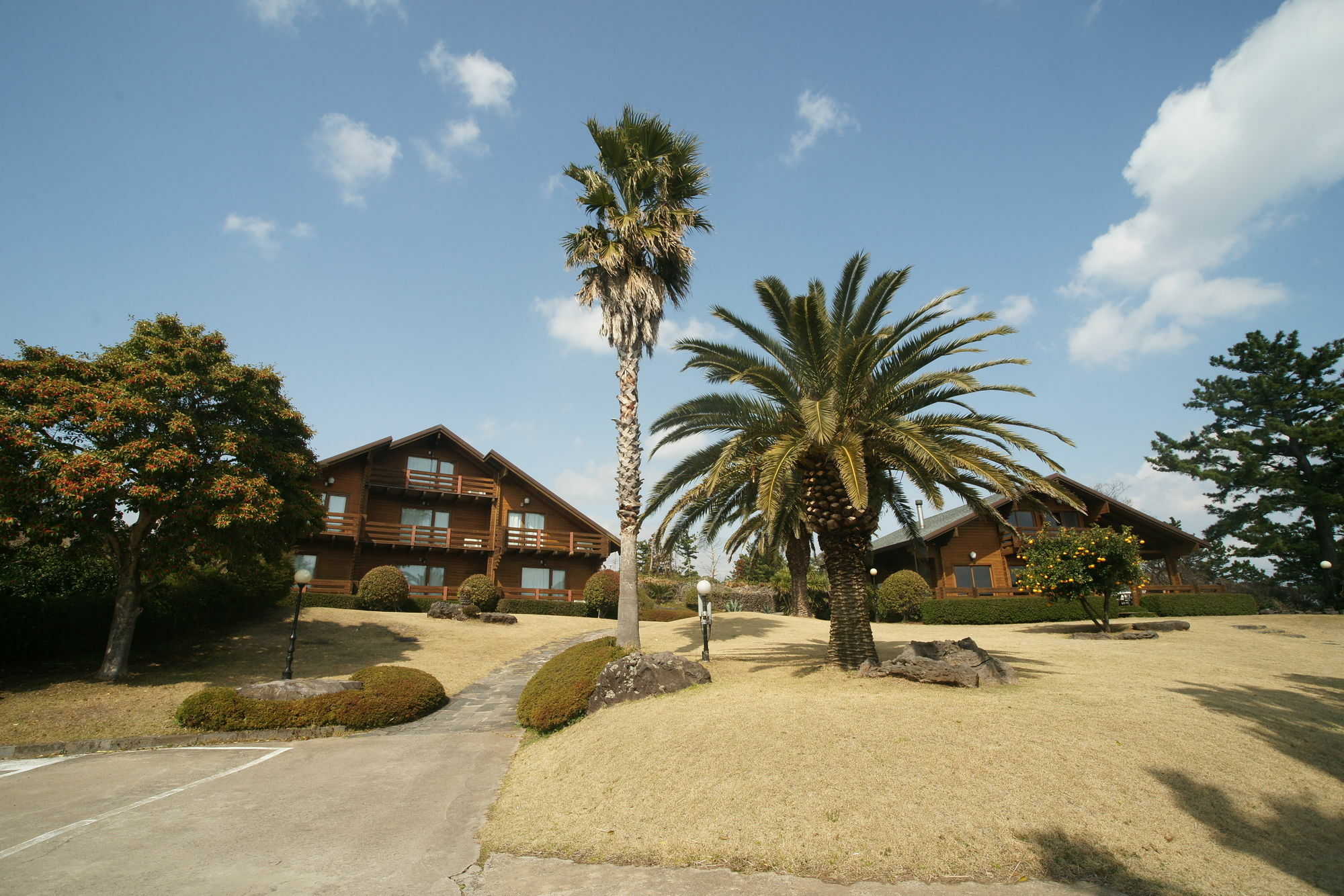 Sunny Day Jeju Villa Seogwipo-stad Buitenkant foto