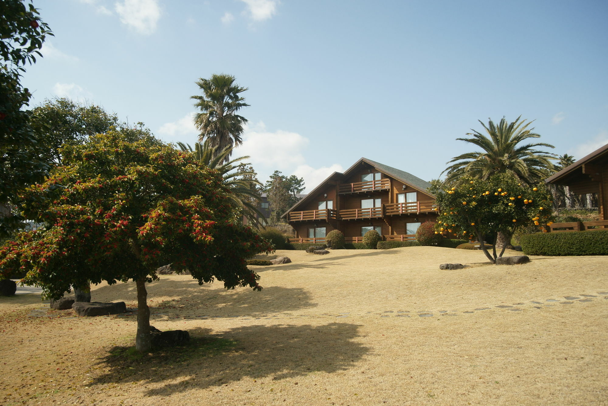 Sunny Day Jeju Villa Seogwipo-stad Buitenkant foto