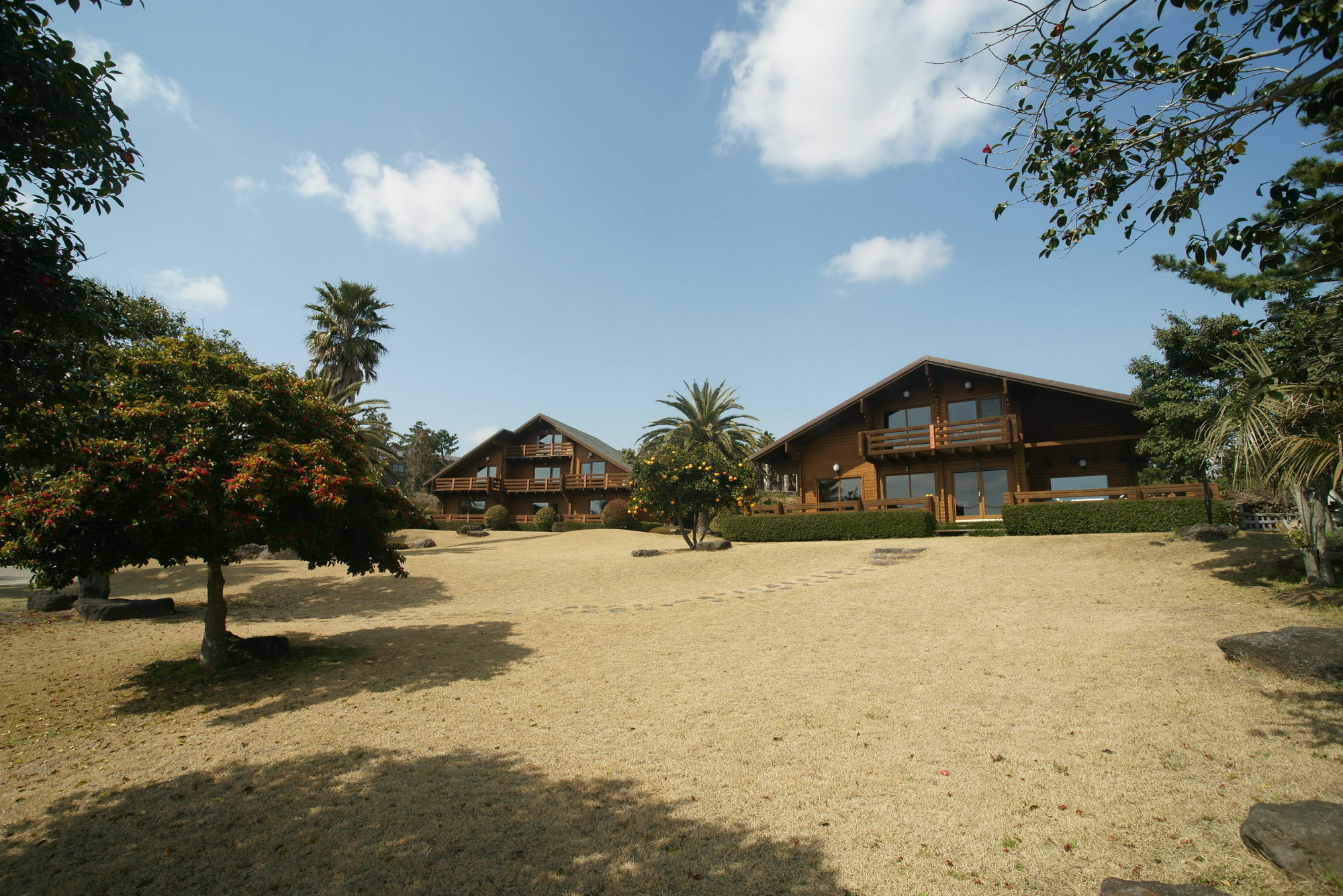 Sunny Day Jeju Villa Seogwipo-stad Buitenkant foto