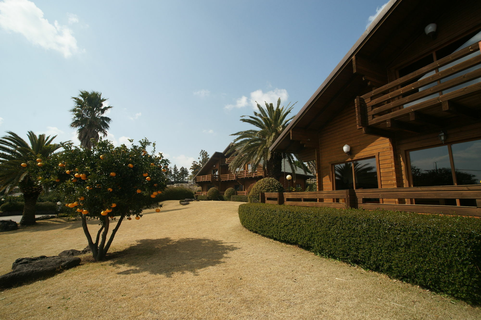 Sunny Day Jeju Villa Seogwipo-stad Buitenkant foto