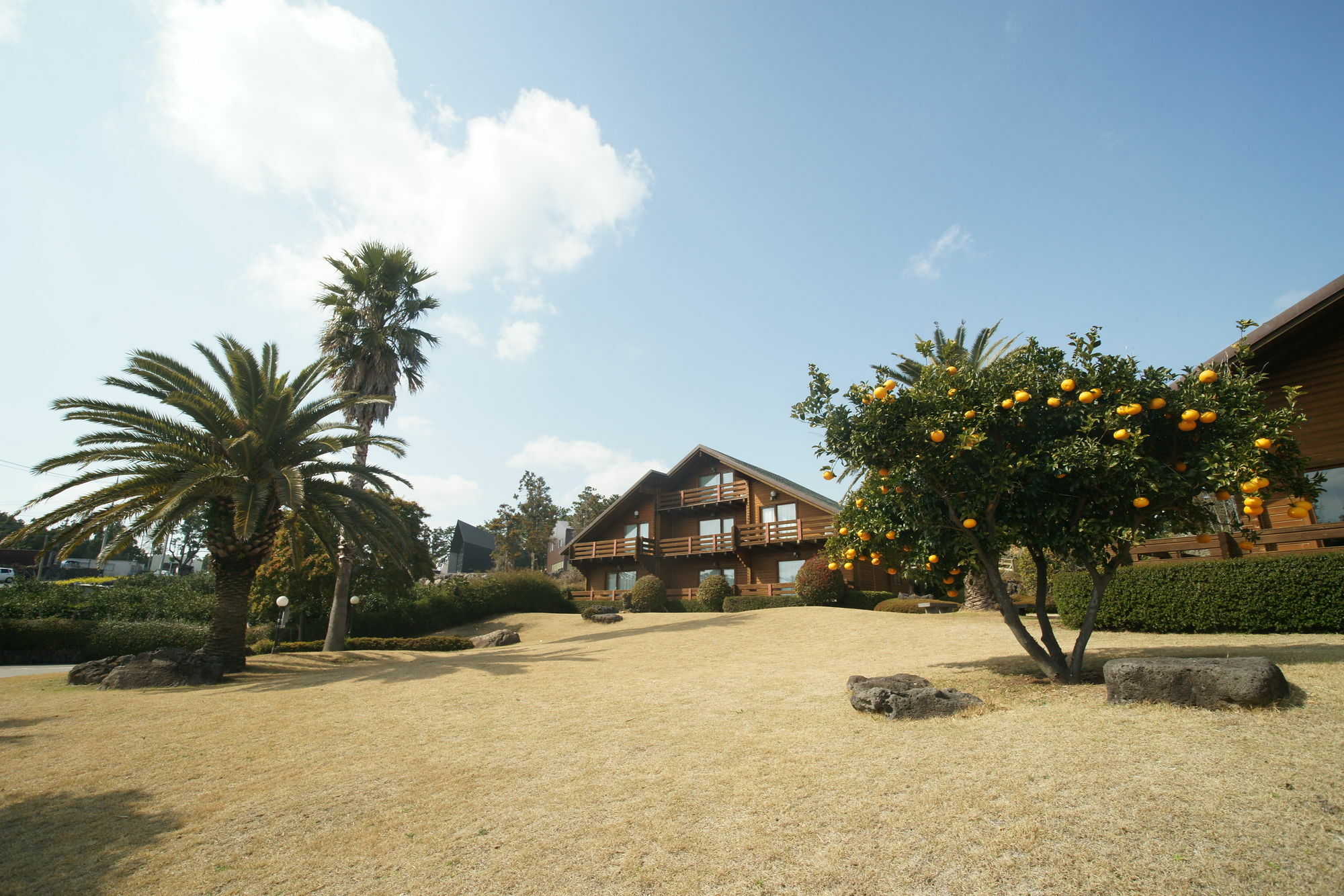 Sunny Day Jeju Villa Seogwipo-stad Buitenkant foto